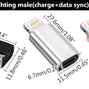 Type C female to Lightning male adapter